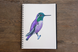 4 Photoshop Sketchbook Mockups - photohacklovers