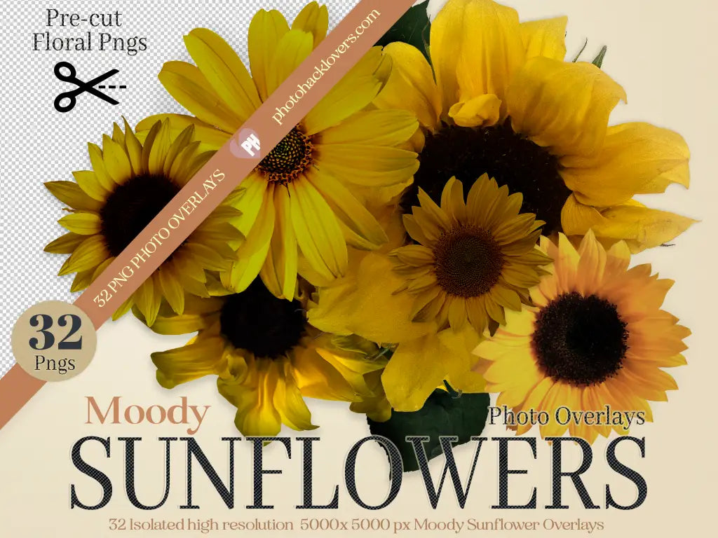 Sunflower Photo Overlays - yellow - Photography tools