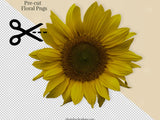 Sunflower photo overlays - yellow - photography tools