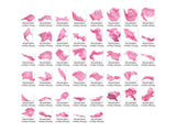 45 Silky Pink Fabric Photo Overlays - Visual Artwork
