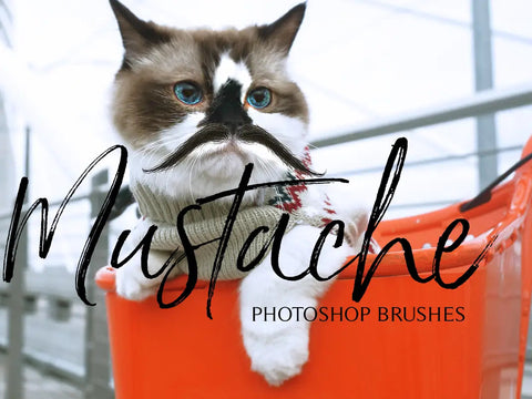 50 Mustache Photoshop Brushes