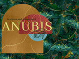 Anubis Branding and Design Bundle