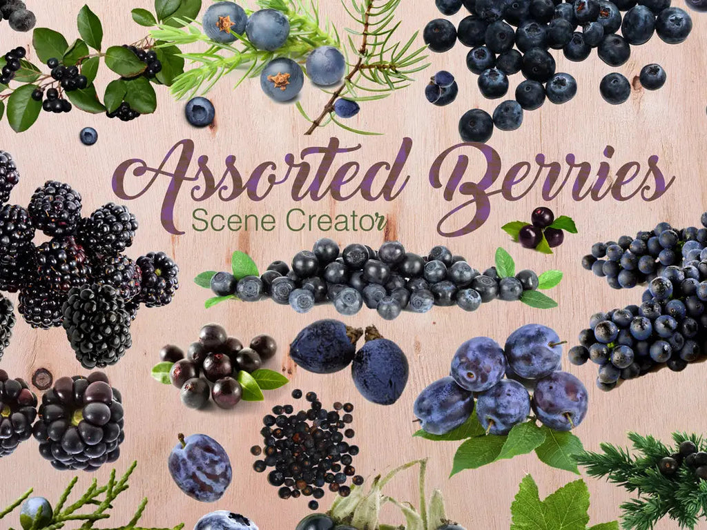 Assorted Berries on Transparent Background - Visual Artwork