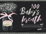 Baby’s breath photoshop design kit - visual artwork