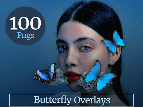 Blue aesthetic butterfly photo overlays - presets