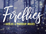 Firefly OVERLAYS and PHOTOSHOP BRUSHES - Digital