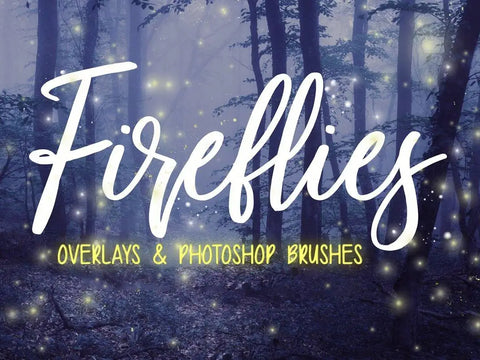 Firefly overlays and photoshop brushes - digital