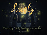 Firefly overlays and photoshop brushes - digital