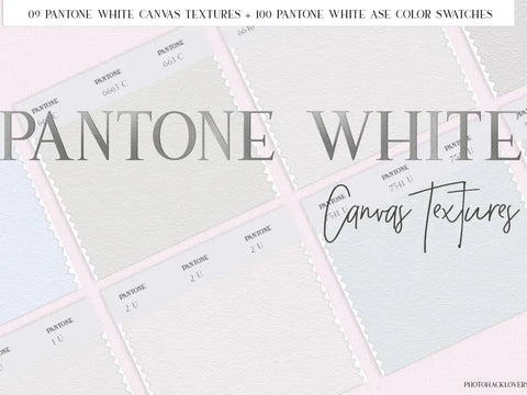 Pantone white canvas textures