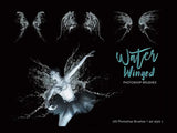 Water Fairy Wings Photoshop Brushes - Digital